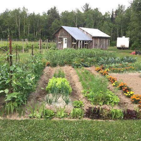 Chalet Saint-Thomas LʼAnse-Saint-Jean المظهر الخارجي الصورة