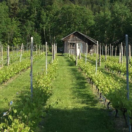 Chalet Saint-Thomas LʼAnse-Saint-Jean المظهر الخارجي الصورة