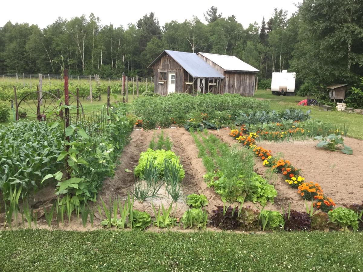 Chalet Saint-Thomas LʼAnse-Saint-Jean المظهر الخارجي الصورة
