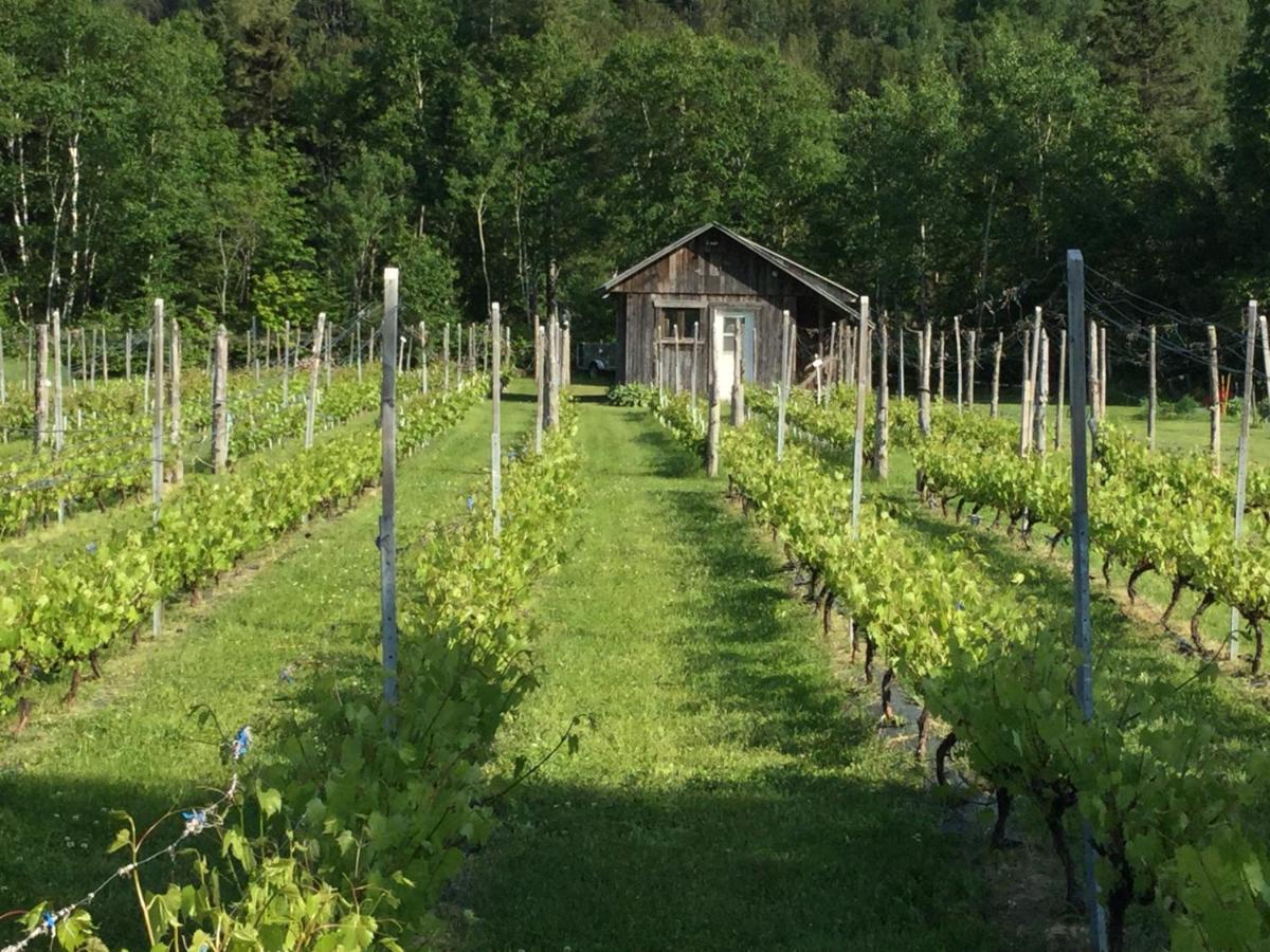 Chalet Saint-Thomas LʼAnse-Saint-Jean المظهر الخارجي الصورة